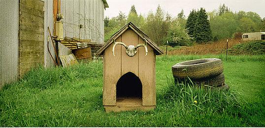 命运2光陨之秋光等怎么提升？抗战赛季光等快速提升攻略